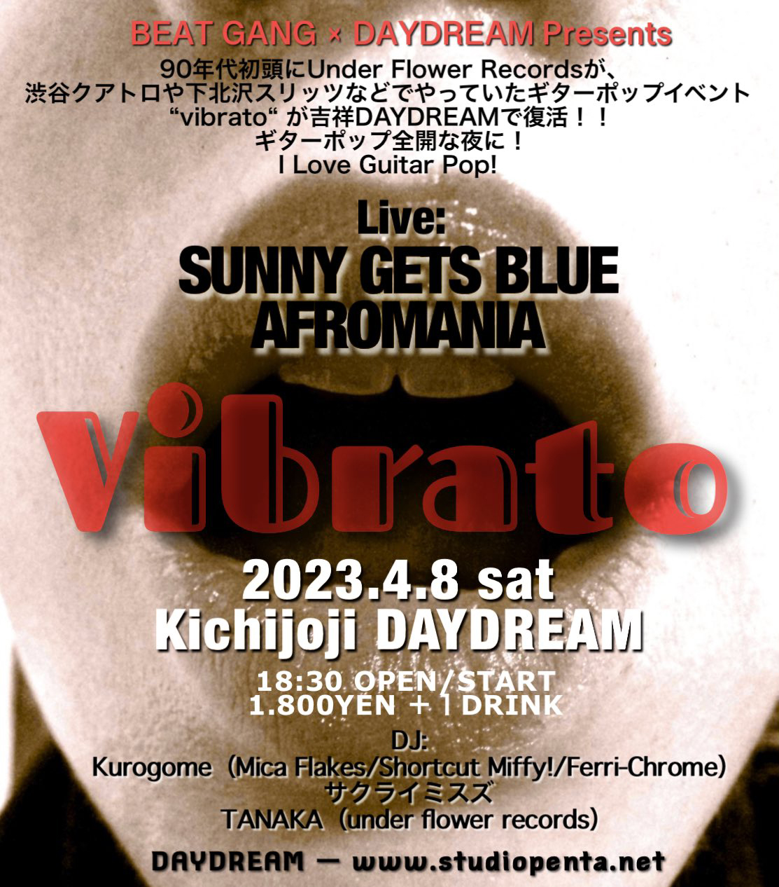 2023年4月8日（土）『vibrato』＠吉祥寺DAYDREAM ライブの 